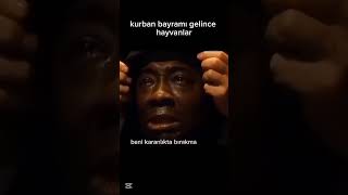 Yapacak Bir Şey Yok