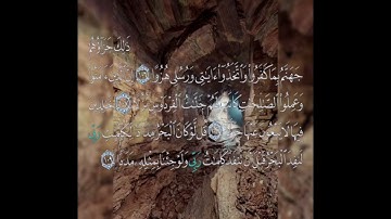 سوره الكهف عدد آياتها ١١٠ آيه (سوره مكيه ) من الآيه ١٠٦ إلي الآيه ١٠٩