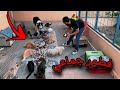 تجربة اكل 300 حبه مكافآة كلاب لحيوانات المزرعه 