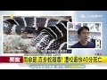 台十大毒蛇出列！看到牠們趕快溜　稀有4毒蛇無血清｜三立新聞台