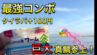 カヤックフィッシングタイラバ にダイソーワームの最強コンボで巨大真鯛参上