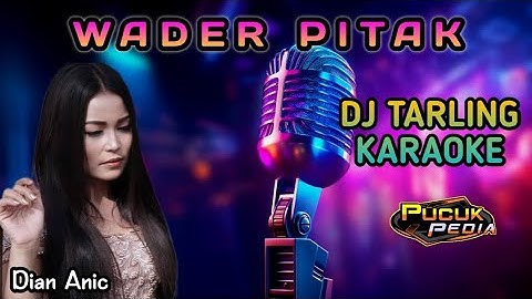 WADER PITAK - Dian Anic // DJ Tarling Karaoke