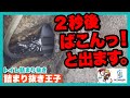 【詰まり抜き】トイレで詰まった排水管を職人が高圧洗浄したらばこん！すっきりでした！きれいに排水管を掃除しました！[drain][排水溝掃除][現場]