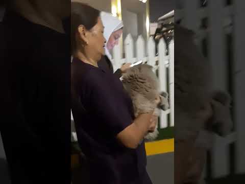lakwatsa kasama si fufa