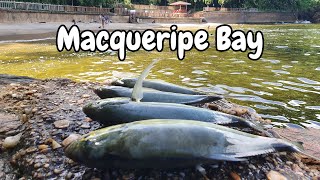 ANYBODY CAN DO THIS KIND OF FISHING! Catch & Cook Off The Rocks - Macqueripe Bay, Trinidad Caribbean