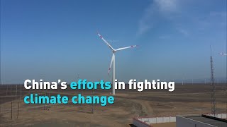 China's efforts in fighting climate change