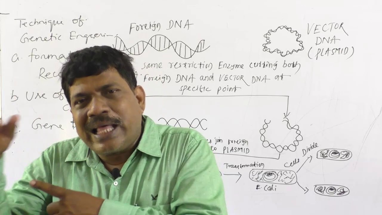 BALARAM SIR#LECT-16#+2 2ND YEAR#PART-2# BIOTECHNOLOGY - YouTube