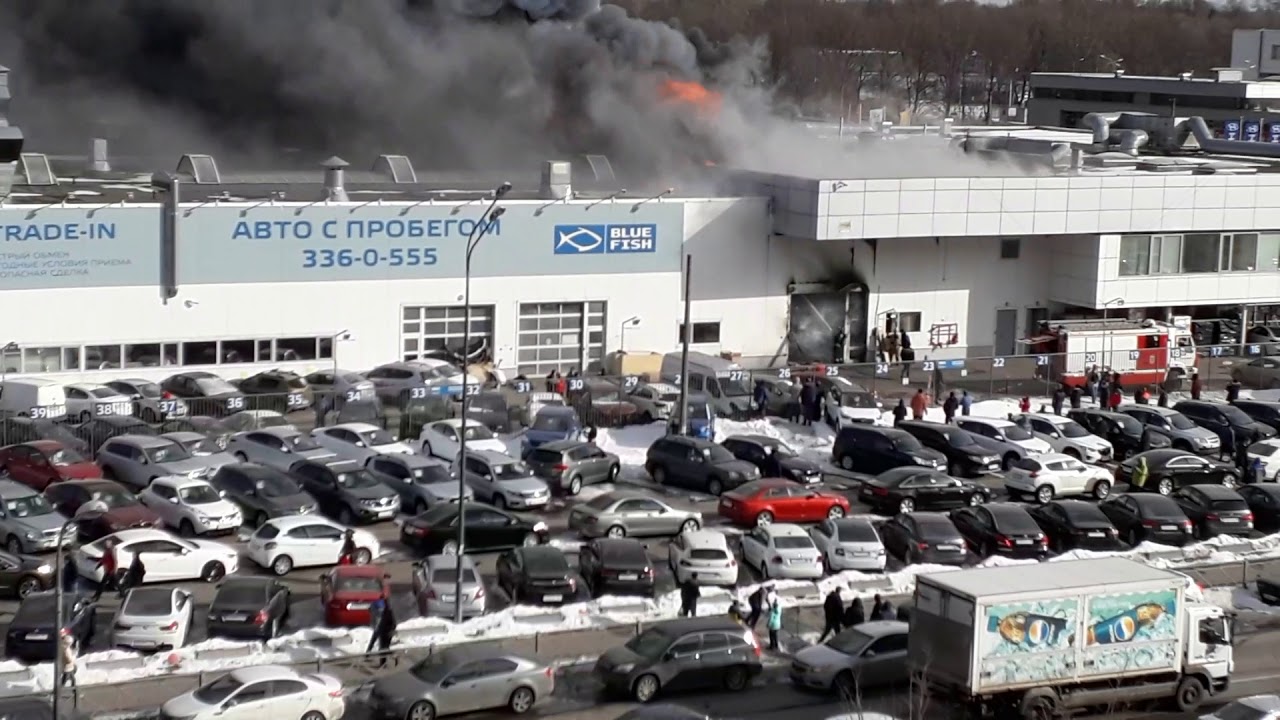 Лексус автосалон томск