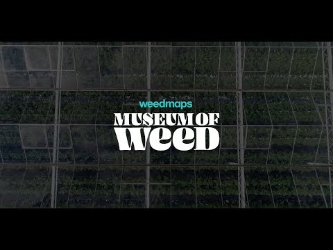 Weedmaps to Open the Museum of Weed (WMMW)