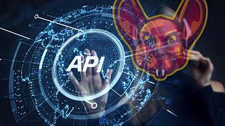 A Pentesters Introduction To The New OWASP API Top 10 - 2023 RC