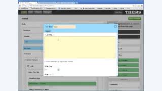 Thesis 2.0 Theme - All things Wordpress 101 Guide Wp1stop