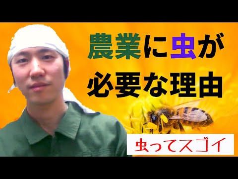 【嫌われものの虫が必要な理由】「虫との付き合い方」について解説