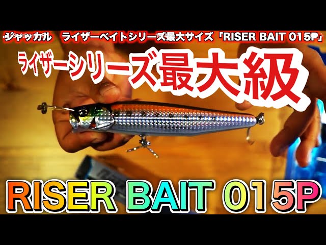 Found a massive JACKALL Riser Bait! 