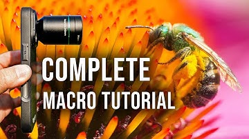 HOW TO TAKE STUNNING MACRO PHOTOS with your smartphone!