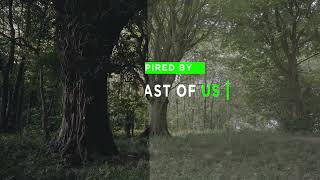 THE LAST OF US SERIES INSPIRED COLOUR GRADING , SATISFYING NATURE AND RELAXING MUSIC