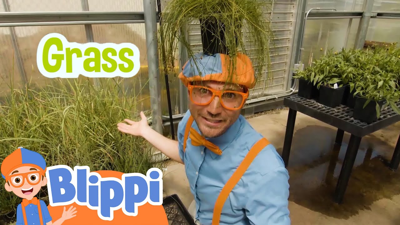 learn-colors-watch-plants-grow-with-blippi-blippi-s-colorful-fun