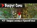 #13 Старые мосты в Красной воле | Навалищенский каньон | Белые скалы