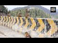 monkey funny video | Drone funny video