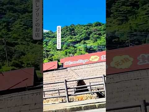 60代ライフスタイル】博多から2時間で行ける！別府の温泉と美食を満喫