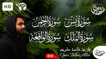 سورة يس + سورة الرحمن + سورة الواقعة + سورة الملك | طلحة علوي