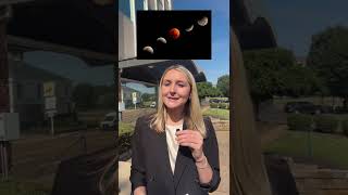 Prepare for a Partial Lunar Eclipse over Memphis