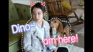 Calling My Dog When He's Right Next to Me by Dino Wearing White Socks穿白袜子的迪诺 2,485 views 3 years ago 1 minute, 59 seconds