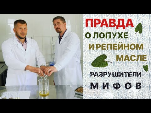 НЕ ПОКУПАЙТЕ РЕПЕЙНОЕ МАСЛО | ЛОПУХ ДЛЯ ВОЛОС | КАК СУШИТЬ ЛИСТЬЯ | РАЗОБЛАЧЕНИЕ ПРОИЗВОДИТЕЛЕЙ