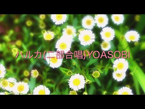 [楽譜ﾌﾙ]ハルカ(二部合唱)YOASOBI
