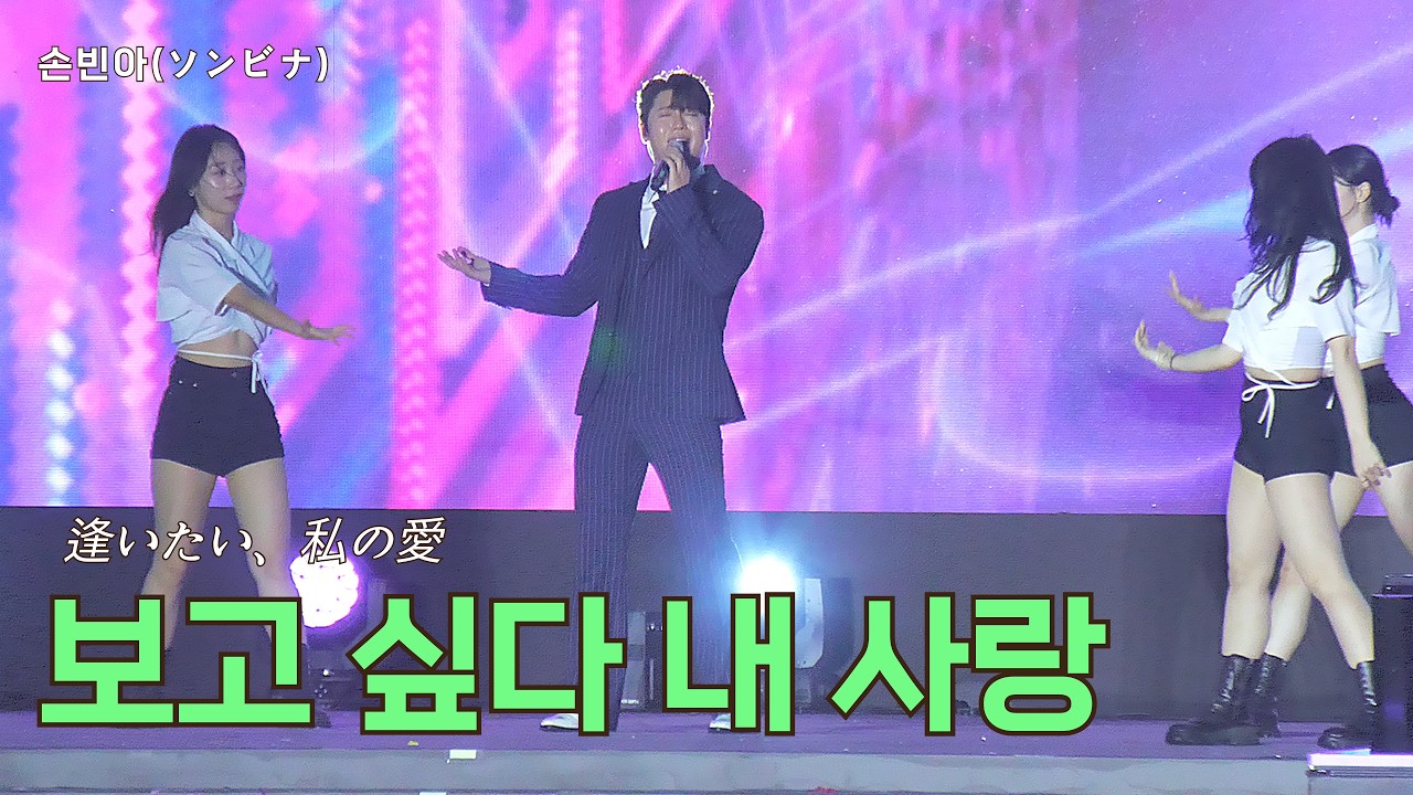 손빈아(ソンビナ) -  보고 싶다 내 사랑 (逢いたい、私の愛) 😱 이 오빠한테 빠지는 데 딱 3초 #손빈아