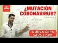 COVID 19 MUTACIÓN | NUEVA CEPA RESUMEN Y ANALISIS