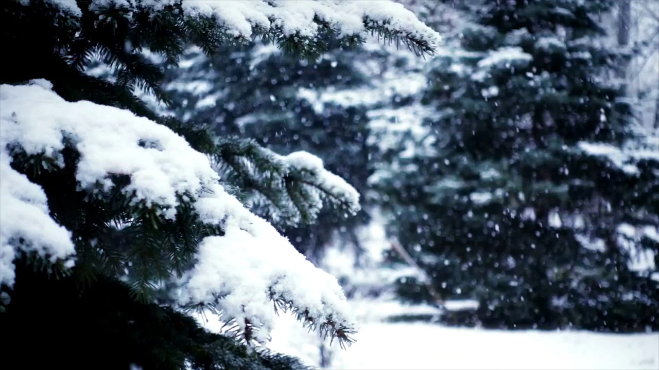 Sonata G-Dur (Thomas Kaiser Quamtz)