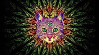 Best Rave/Party Songs Mix #1: PSY TRANCE, MINIMAL, GOA TRANCE, HEAVY BASS (song list in description)