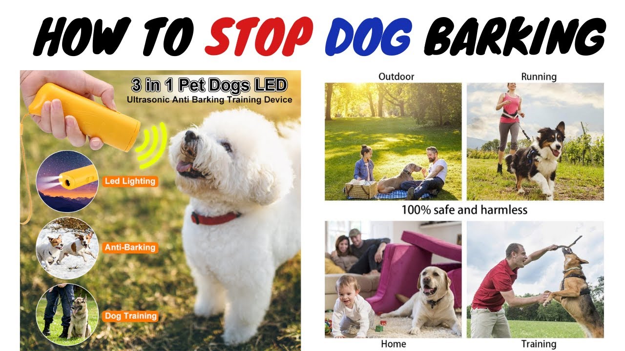 👉 How to STOP any DOG from BARKING Anti barking device 🐶 YouTube