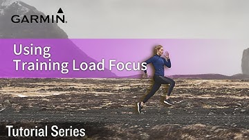 Tutorial – Using Training Load Focus