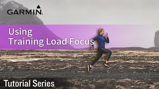 Tutorial Using Training Load Focus
