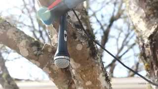 Celebrity Cool Ways to Use Rockler Bandy Clamps | Darbin Orvar Profile