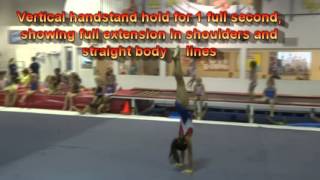 USAG Level 3 Floor Exercise Tutorial: New Routines 2013-2021