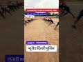 न्यू बैच दिल्ली पुलिस👮#physicalacademy #hisar #delhipolice #physicalcoach #motivation #army #coach