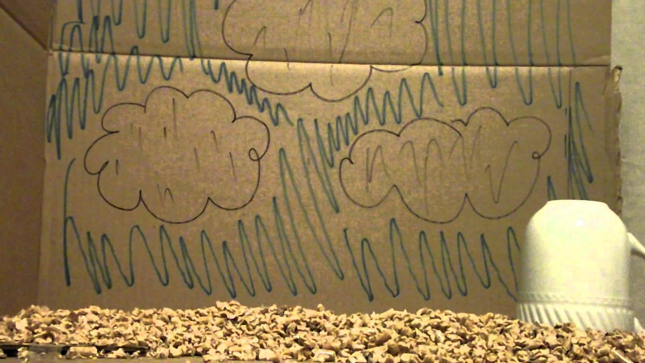 Glacial Till - NRS 212