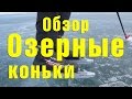 Обзор озерных коньков (нордики, байсы). Малое море. Байкал 2017