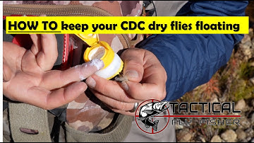Three steps to keep your CDC dry flies floating