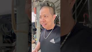 Download Lagu Cách chữa mỏ chấu cho chim đơn giản nhất | Hoạt Họa Mi MP3