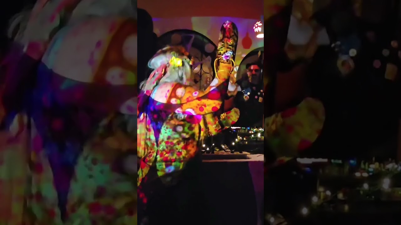 The one and only Mina Mann, song-Electrik Custard ft Mina - Loud #trippy #drumnbass #dj