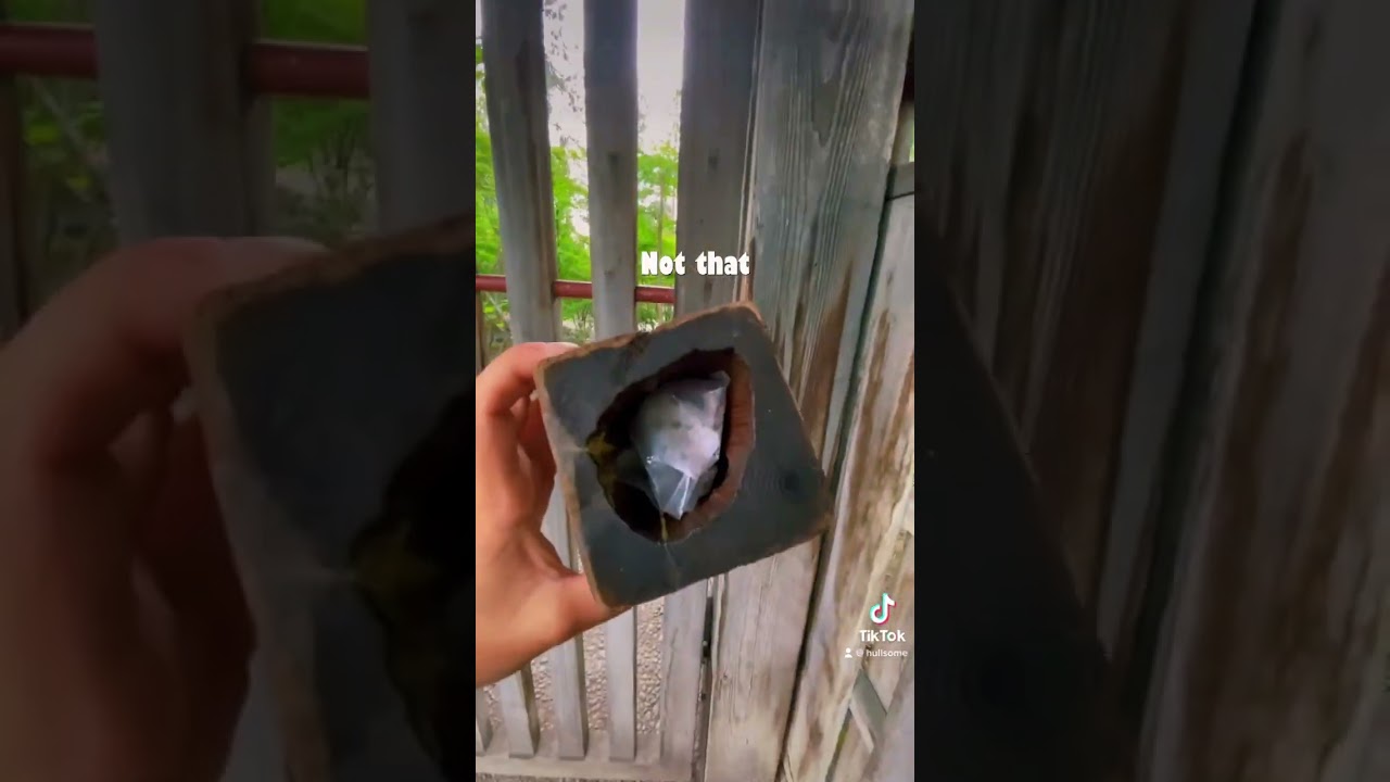 Ready to hide your first Geocache? Subscribe/share with a friend and download the Geocaching app!❤️