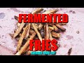 WARNING!  World's Best Fermented Fries