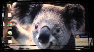 How to mod your mw2 on split screen mode with MP Data Editor