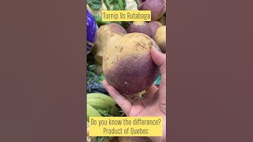 Do you know the difference between Turnip Vs Rutabaga root vegetable #shorts / product of Quebec