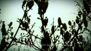 Jeløya landskapsvernområde, Moddi: Noens Ark