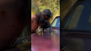 Black Smoke Prank He Coudnt See After 