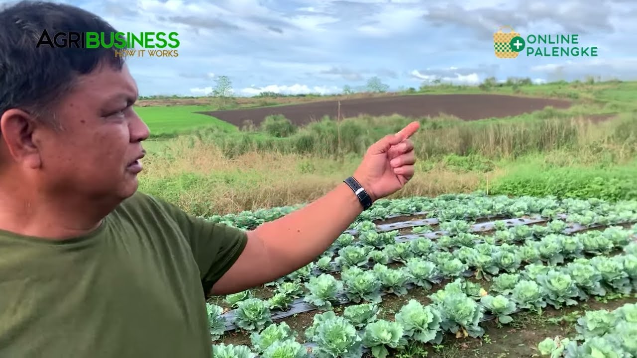 ⁣Bakit laging Lugi ang Farmer? 10 Strategies for Success in Farming